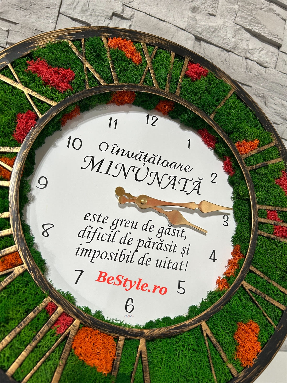 Ceas de perete cu licheni pentru doamna invatatoare 02