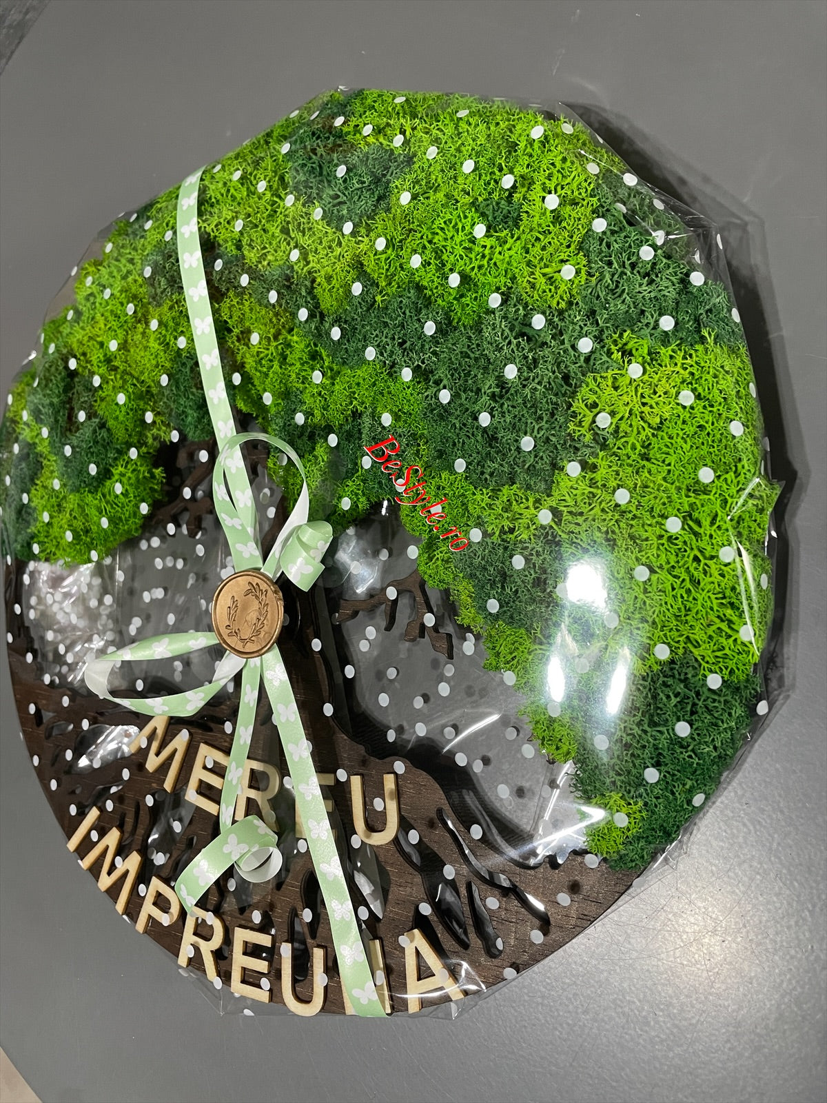 Copacul vietii cu licheni de 30 cm - bonsai