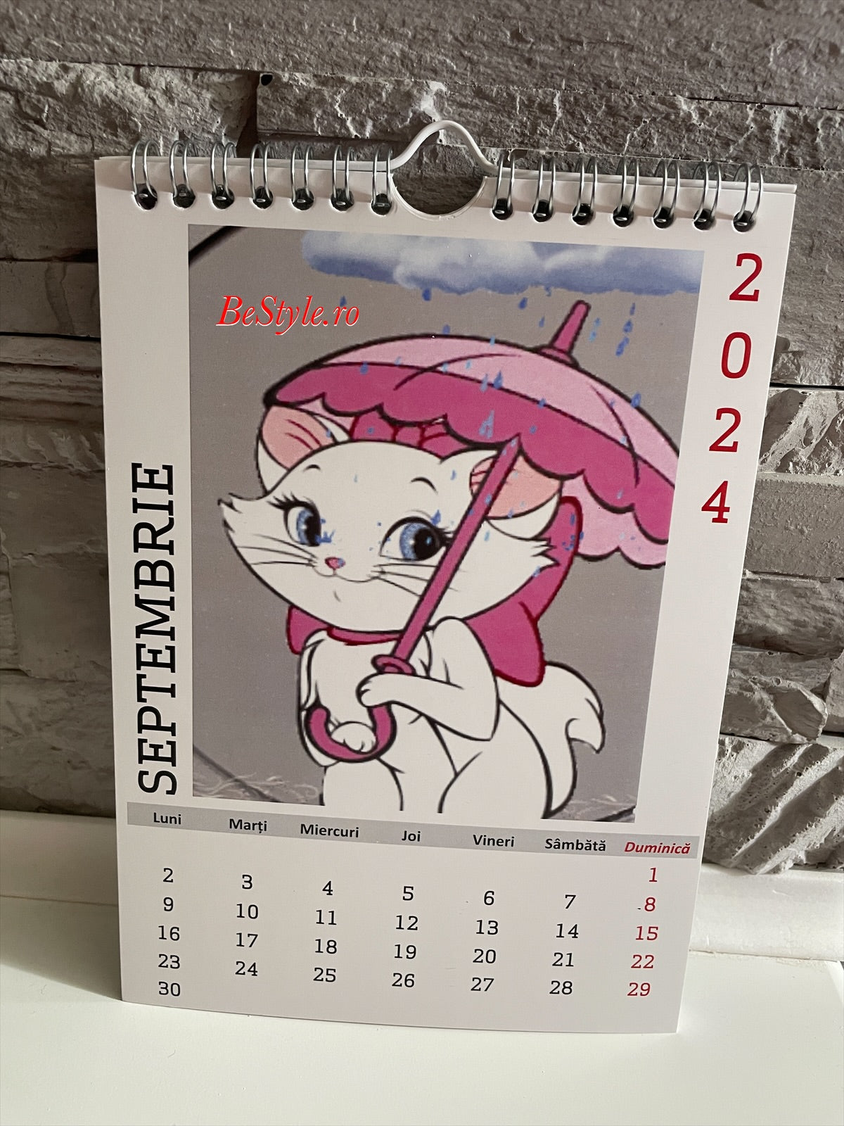 Calendar personalizat de perete 2025 CAL P62