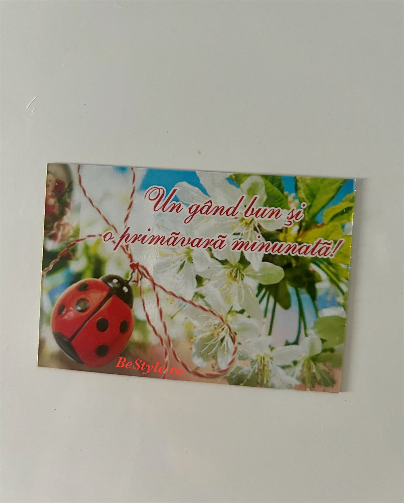 Martisor - magnet de frigider