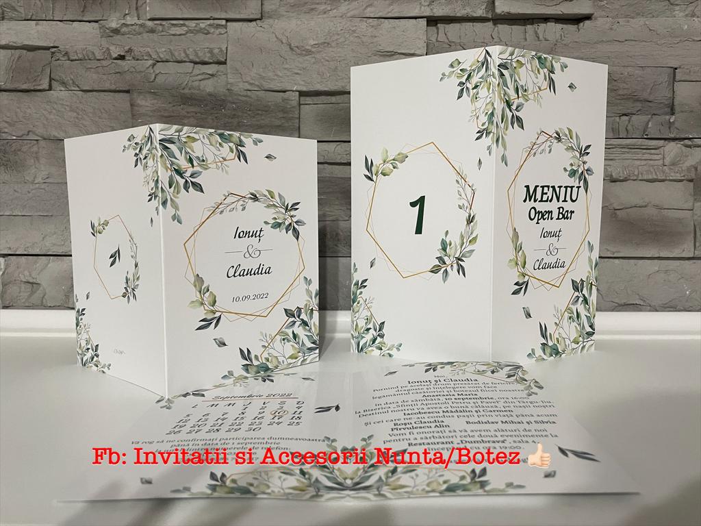 Set nunta 10