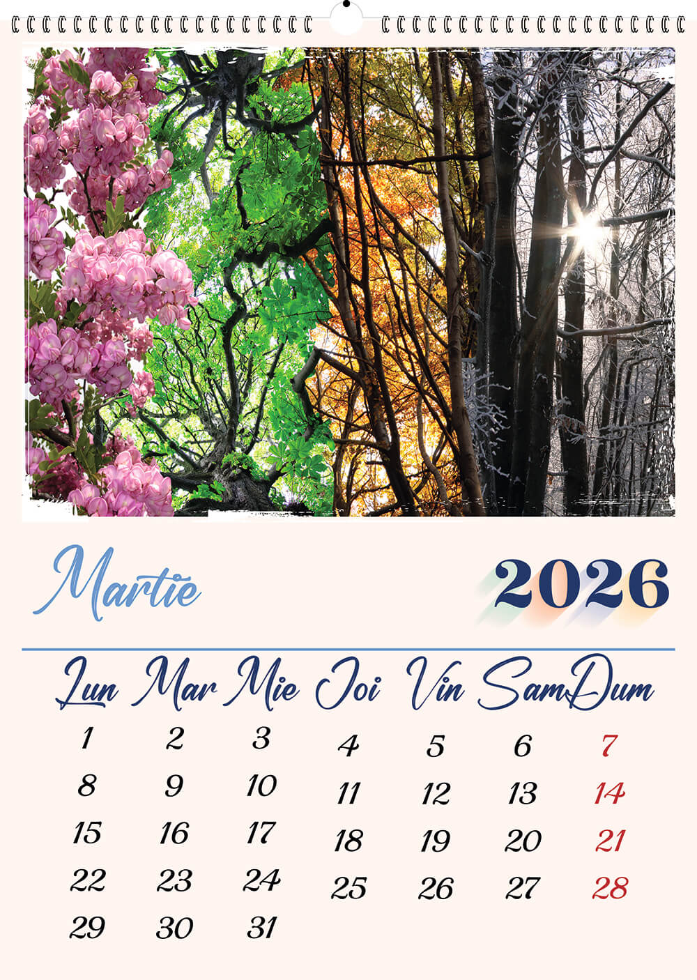 Calendar personalizat de perete 2027 CAL P69