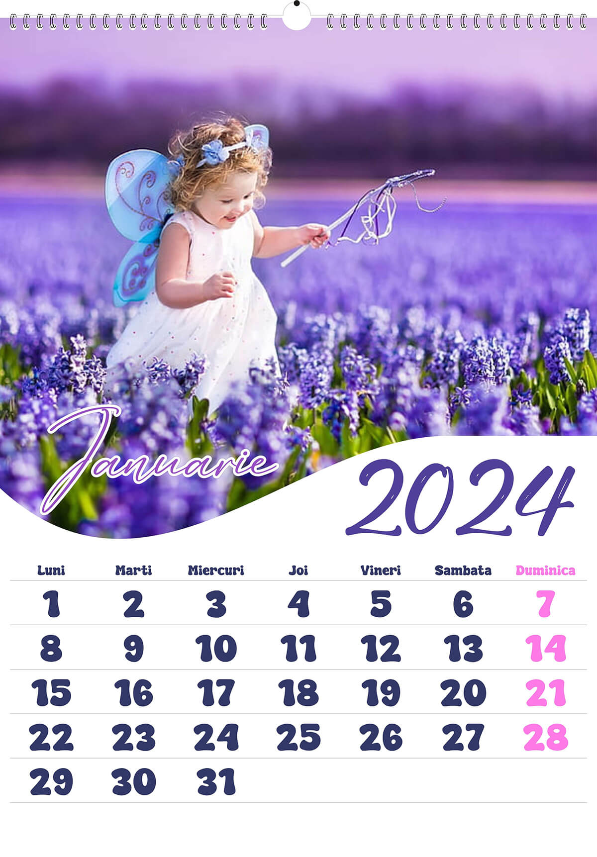 Calendar personalizat de perete 2026 CAL P61