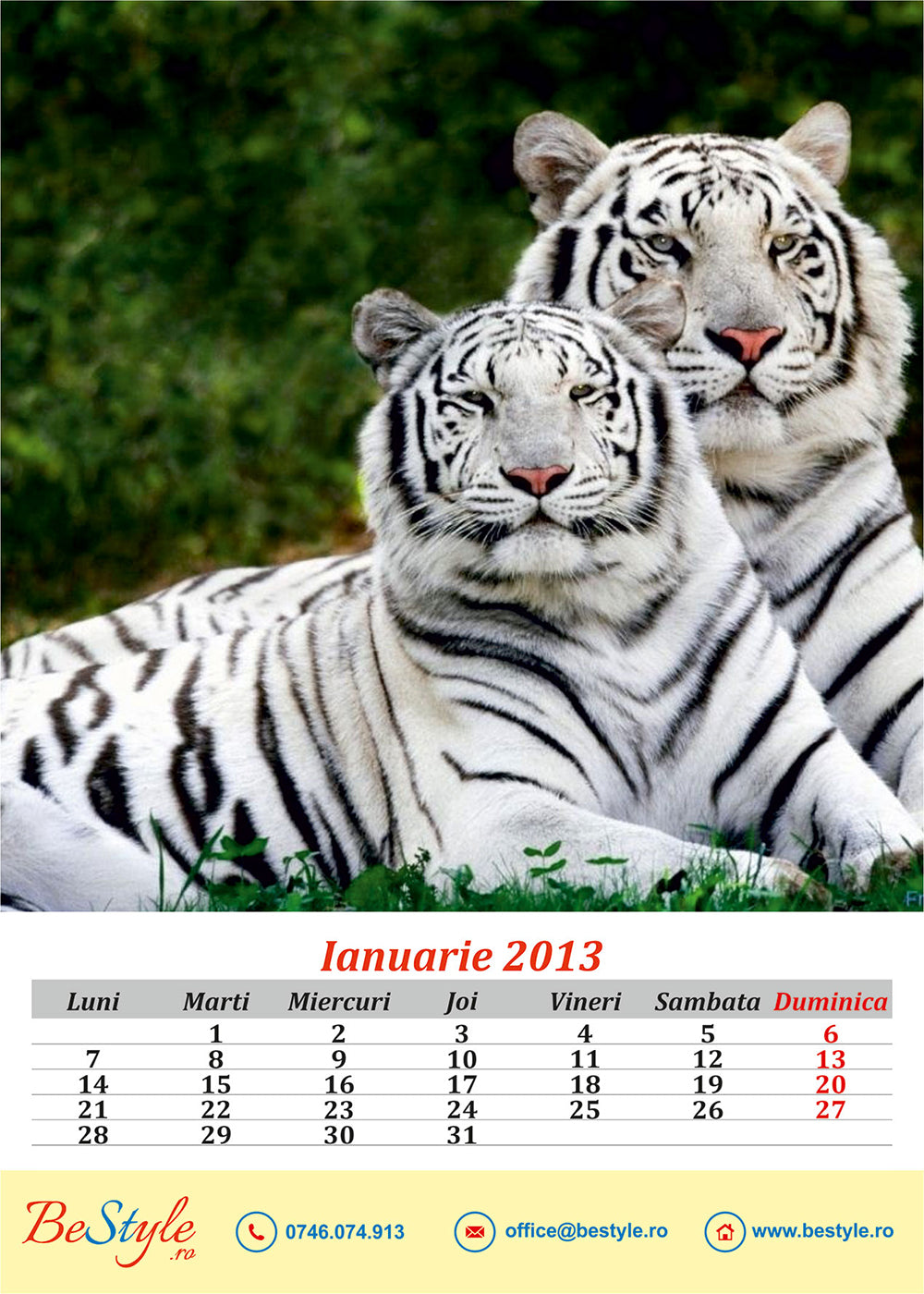 Calendar general de birou 2025 CAL G03 - Animale salbatice