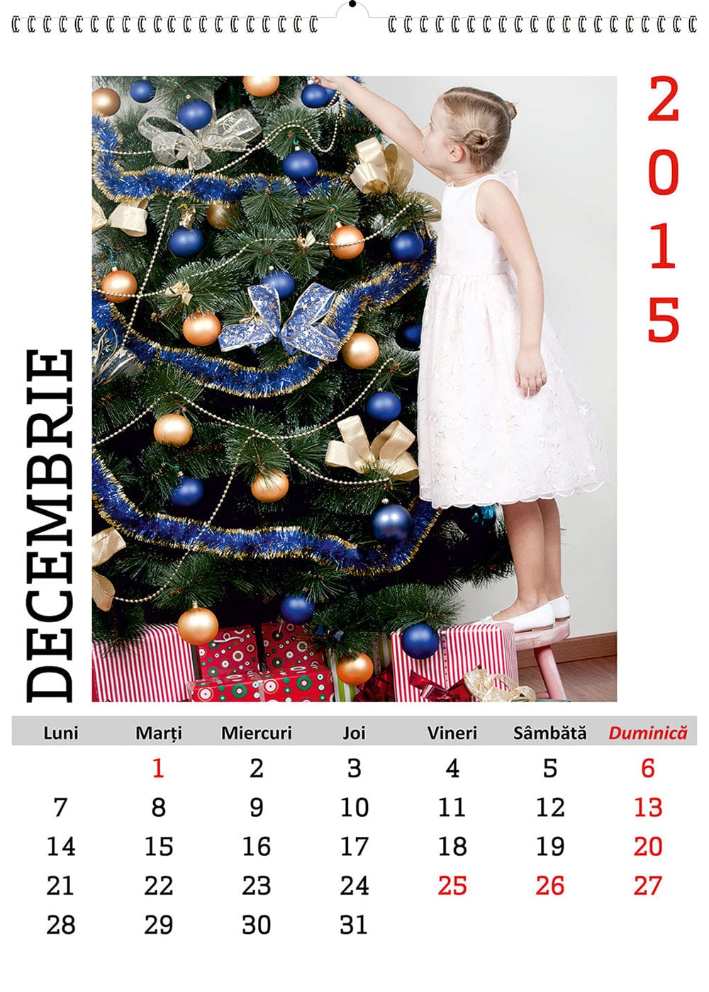 Calendar personalizat de perete 2026 CAL P35