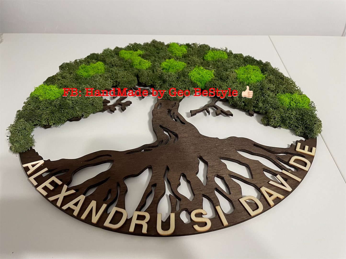 Copacul vietii cu licheni de 40 cm - bonsai