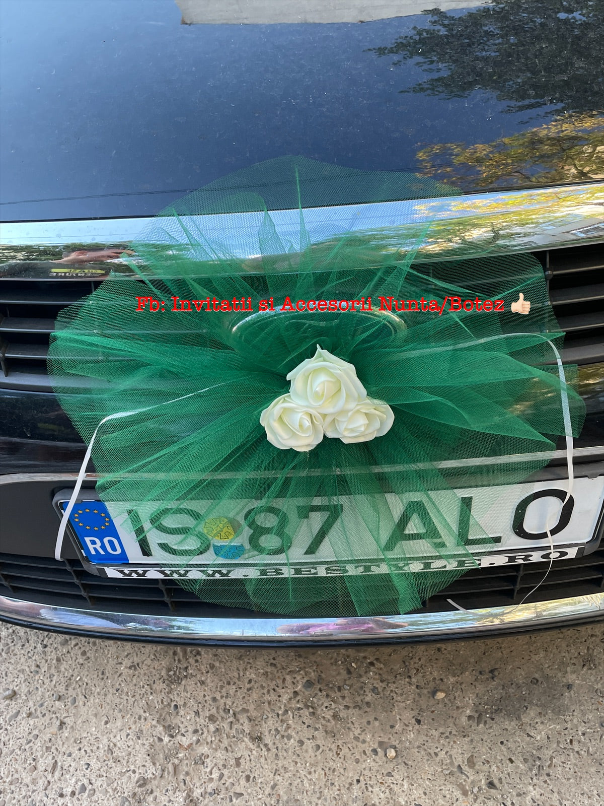 Pompoane cu trandafiri pentru numar masina fata