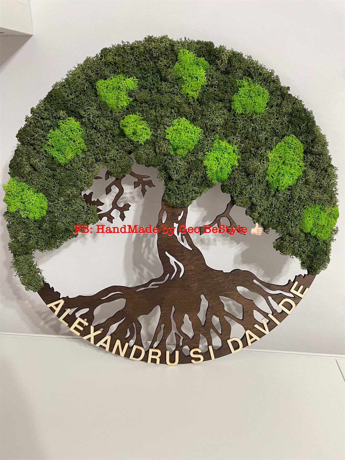 Copacul vietii cu licheni de 40 cm - bonsai
