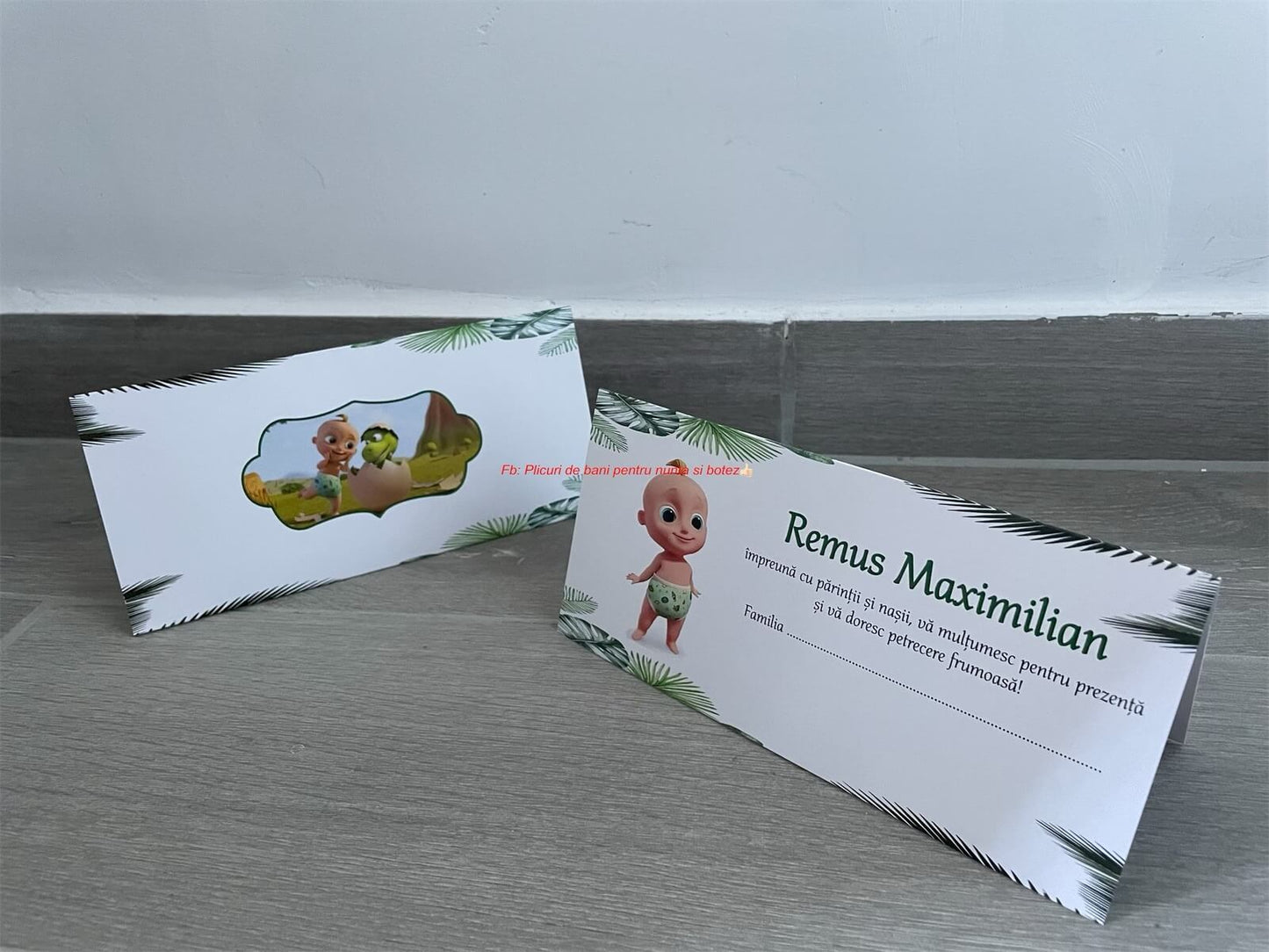 Plic de bani botez BSPB052 - Zigaloo