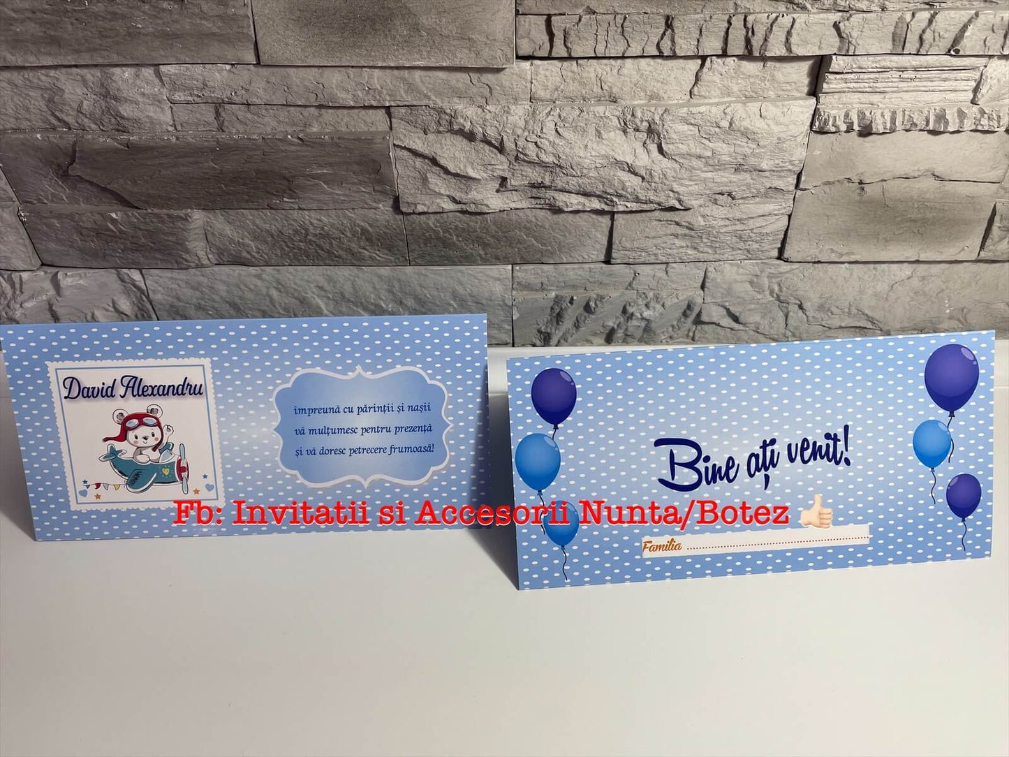 Plic de bani botez BSPB060 - Little Bear airplane