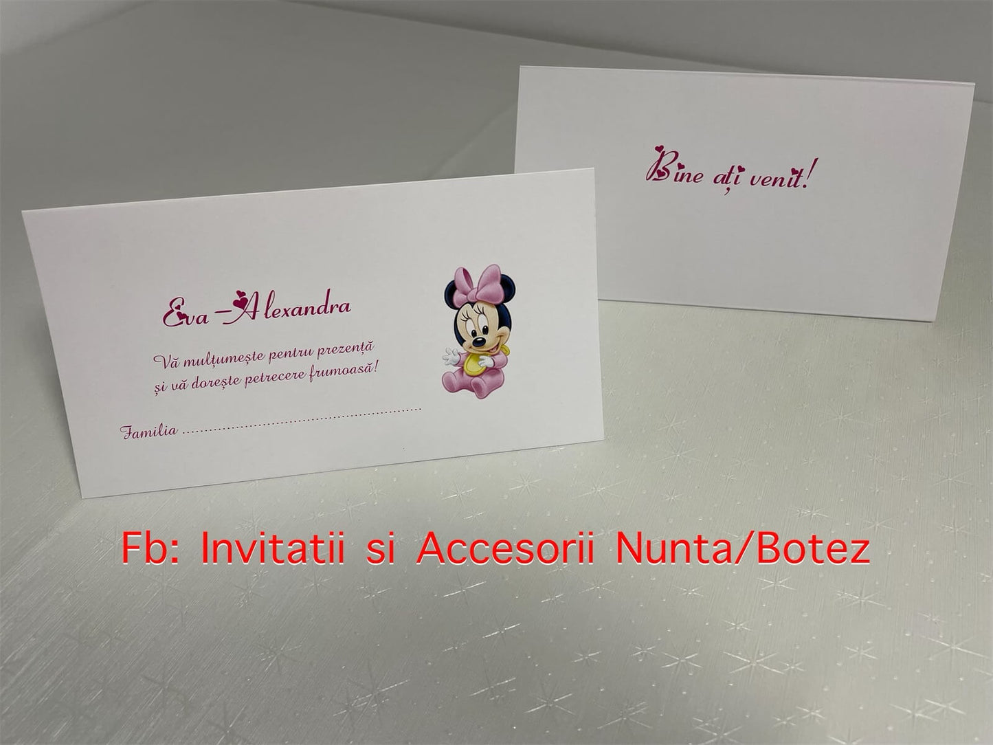Plic de bani botez BSPB11 baby Minnie Mouse