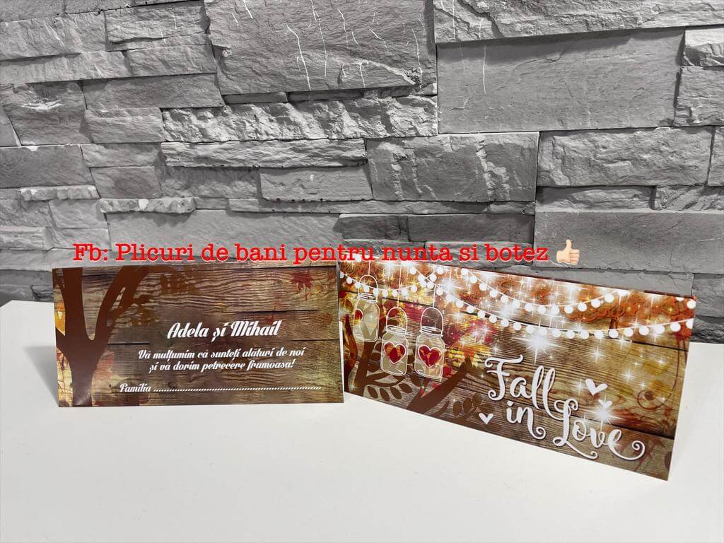 Plic de bani nunta BSPN088