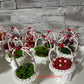 Martisor - Cosulet cu licheni