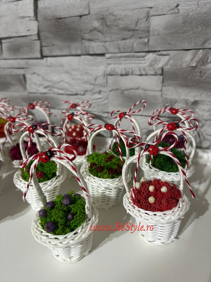 Martisor - Cosulet cu licheni