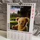 Calendar personalizat de perete 2025 CAL P62