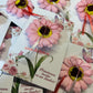 Brosa martisor in forma de floare