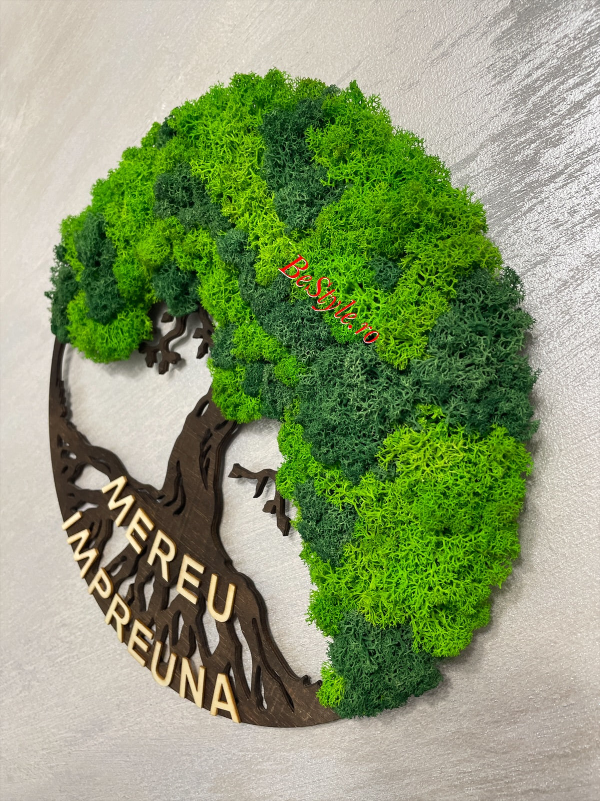 Copacul vietii cu licheni de 30 cm - bonsai