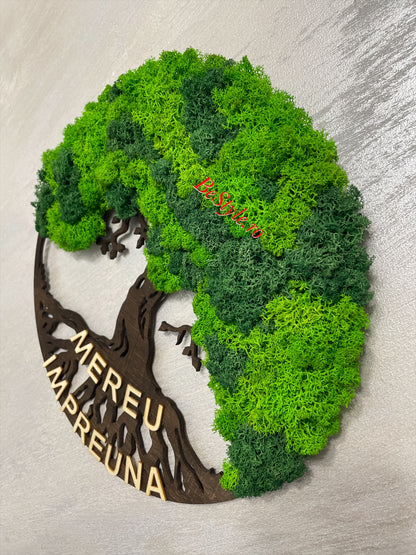 Copacul vietii cu licheni de 30 cm - bonsai