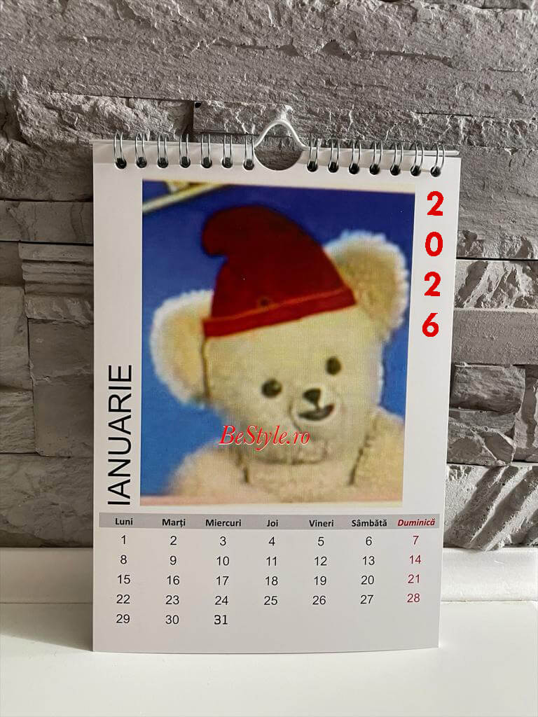 Calendar personalizat de perete 2026 CAL P62