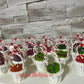 Martisor - Cosulet cu licheni