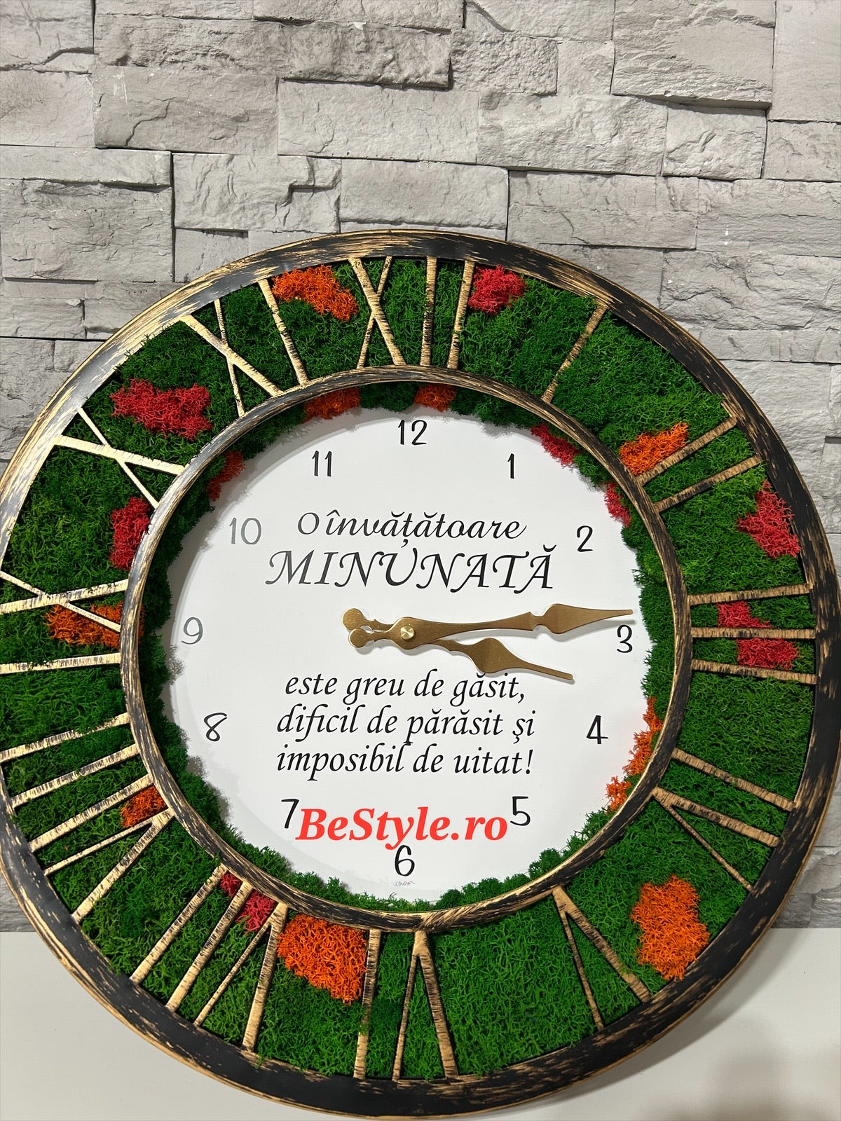 Ceas de perete cu licheni pentru doamna invatatoare 02