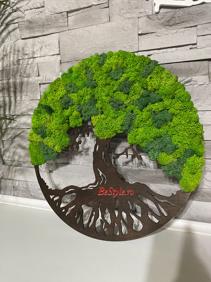 Copacul vietii cu licheni de 40 cm - bonsai