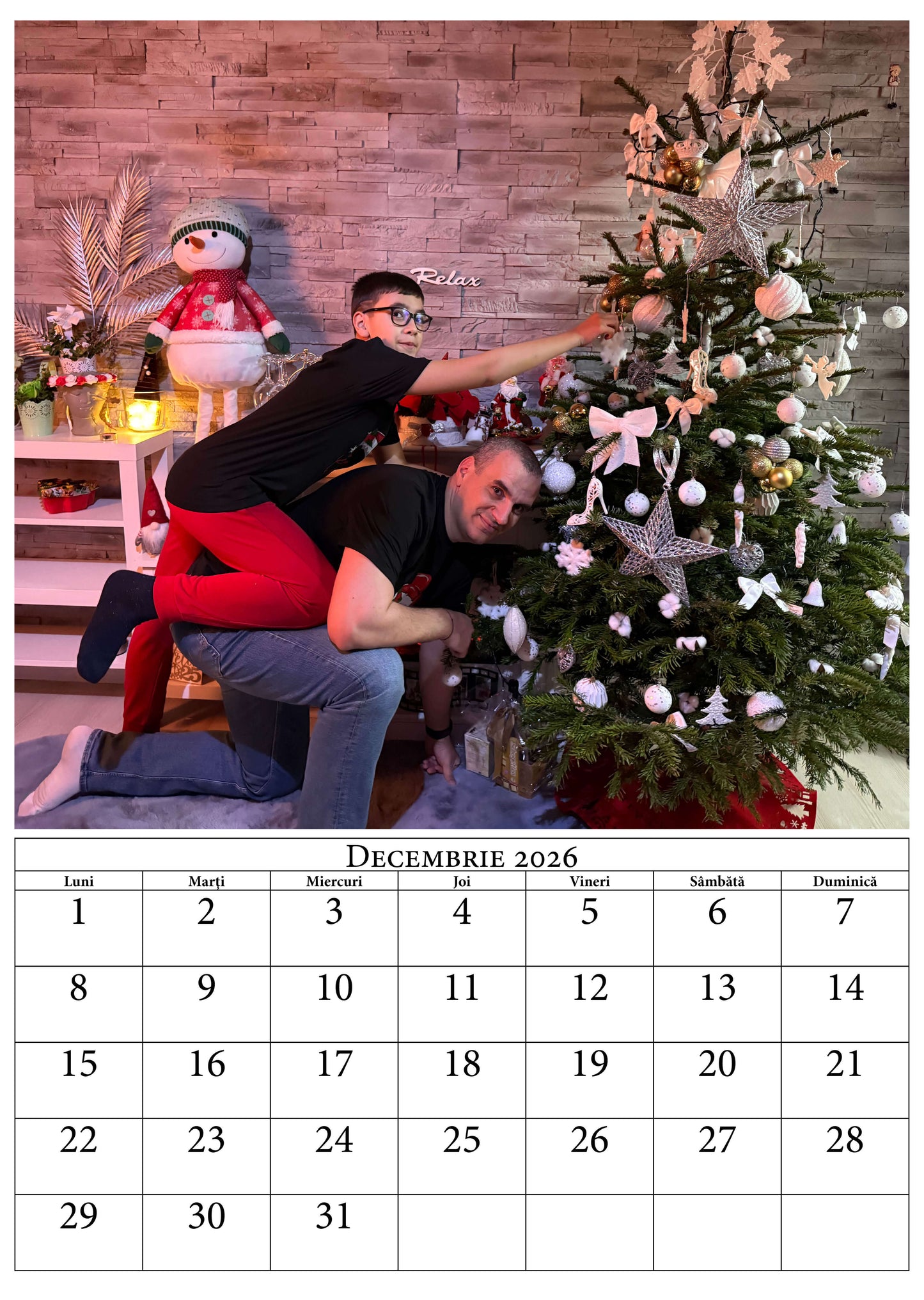 Calendar personalizat de perete 2026 CAL P56