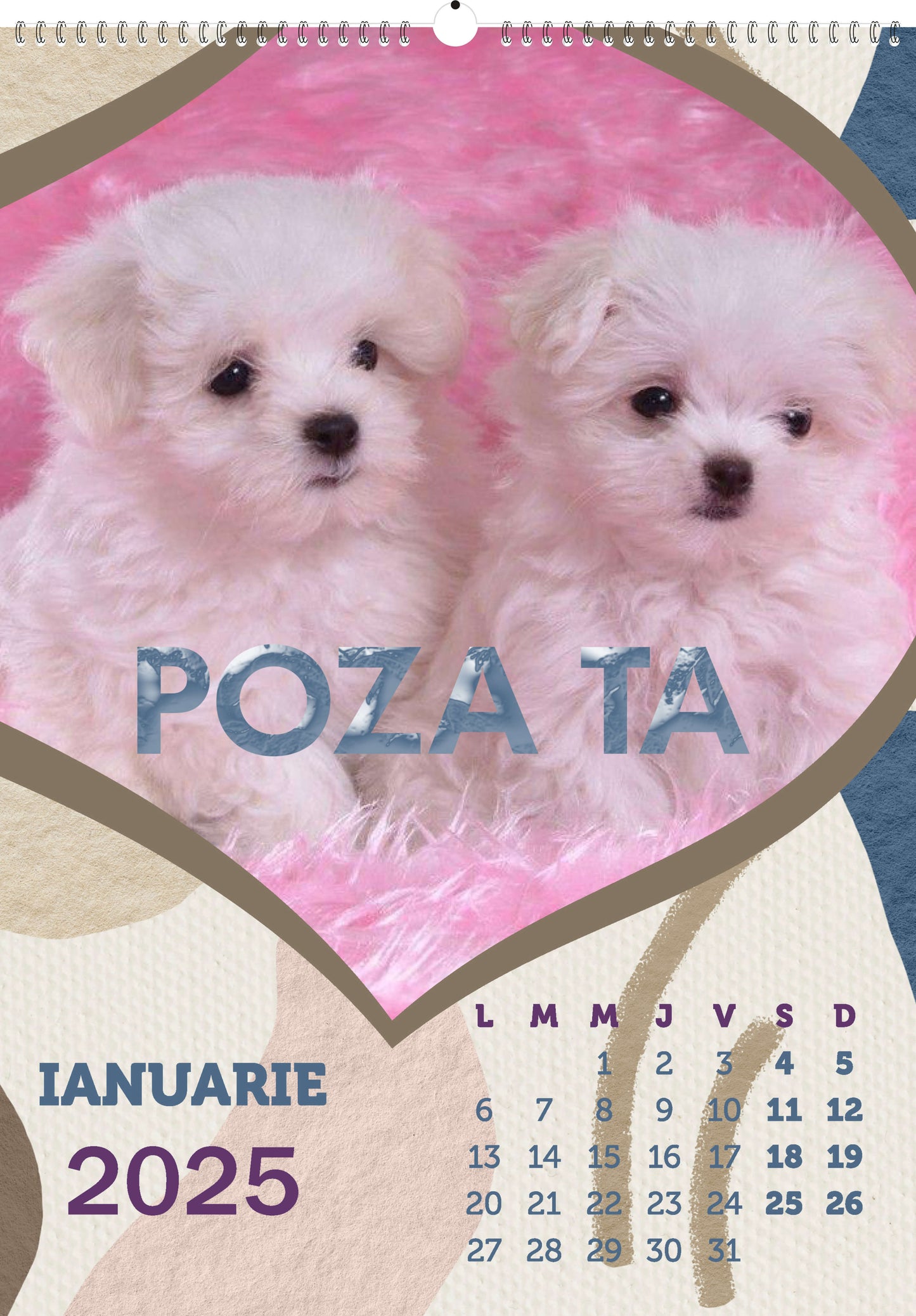 Calendar personalizat de perete 2025 CAL P64
