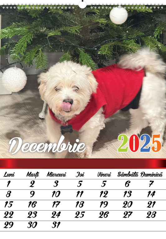 Calendar personalizat de perete 2025 CAL P42