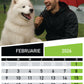 Calendar personalizat de perete 2026 CAL P66