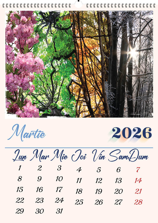 Calendar personalizat de perete 2027 CAL P69