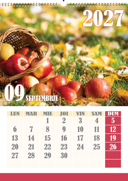 Calendar personalizat de perete 2027 CAL P71