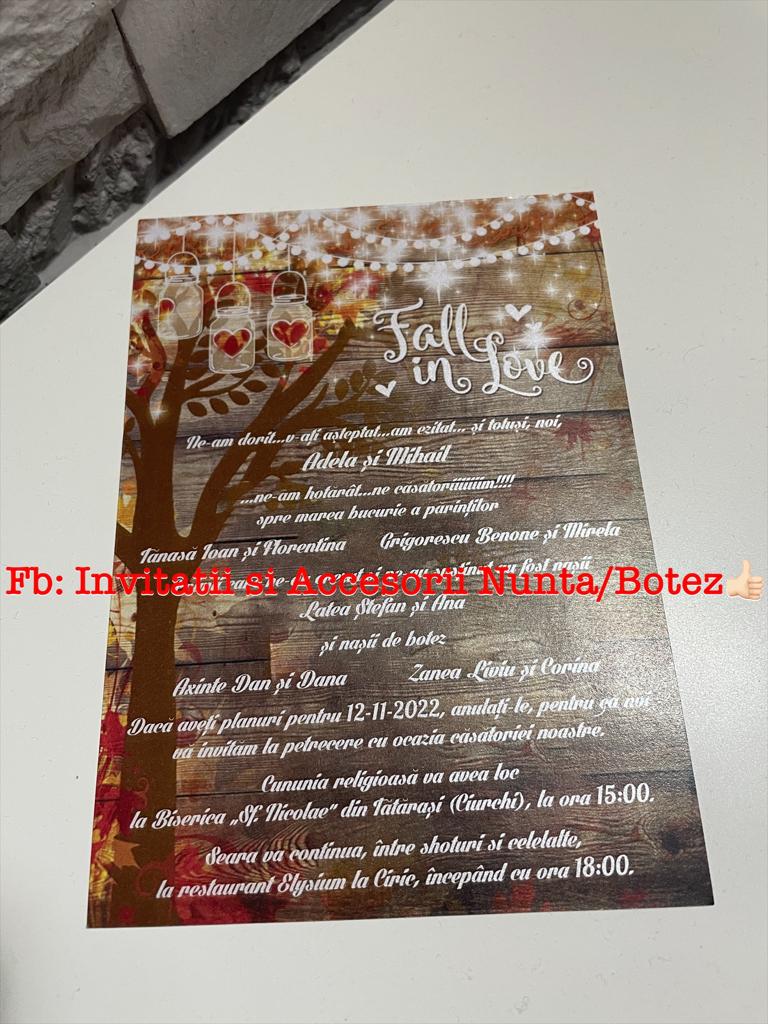 Invitatie nunta BSIN100