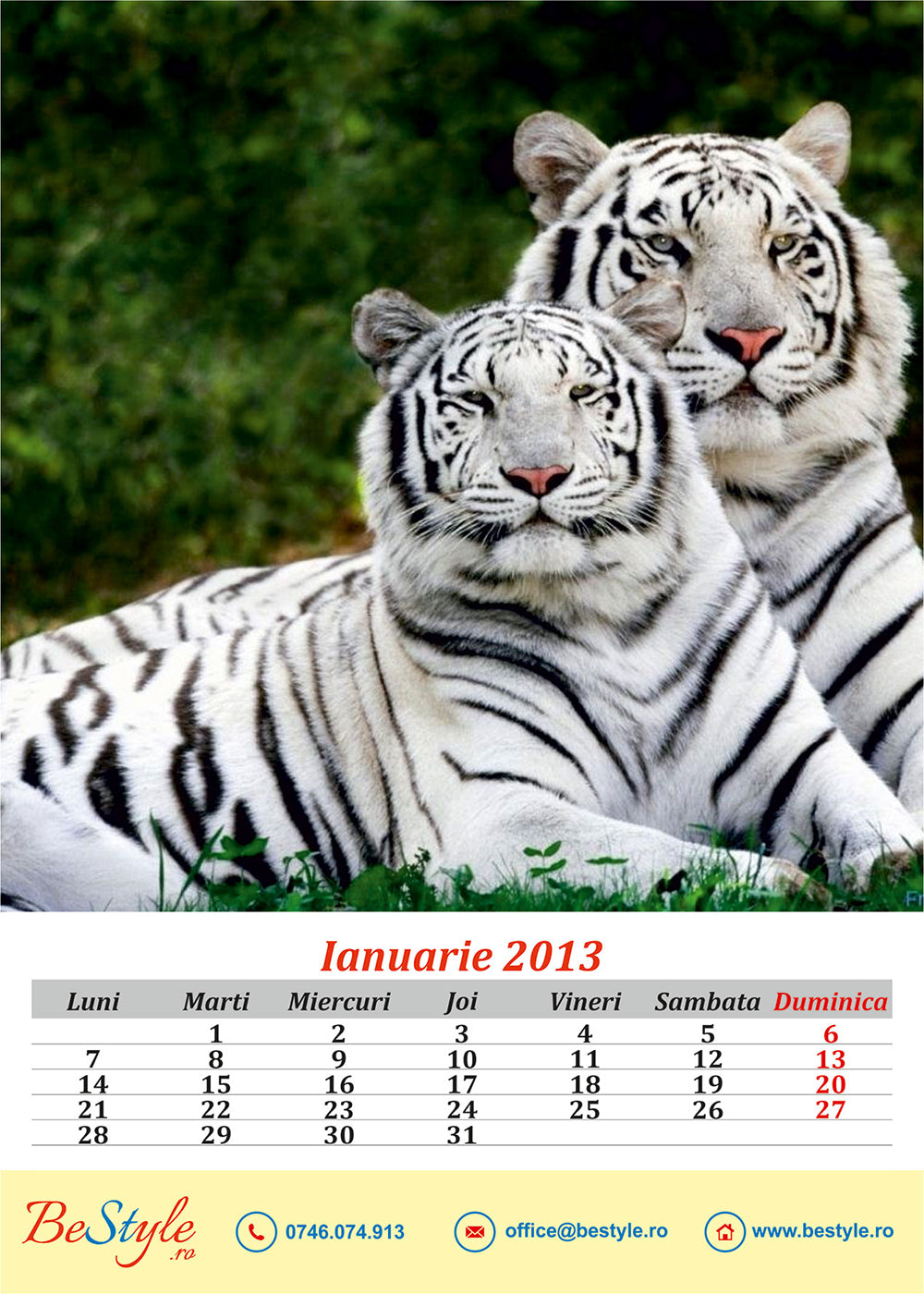 Calendar general de birou 2024 CAL G03 - Animale salbatice