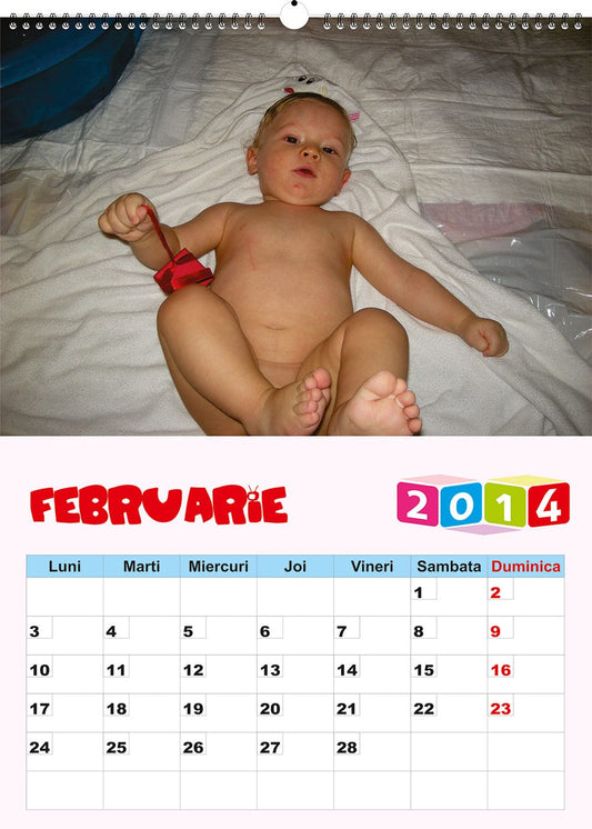 Calendar personalizat de perete 2025 CAL P19
