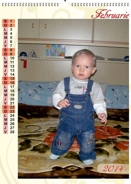 Calendar personalizat de perete 2025 CAL P28