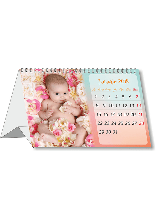 Calendar personalizat de birou 2024 CAL P46
