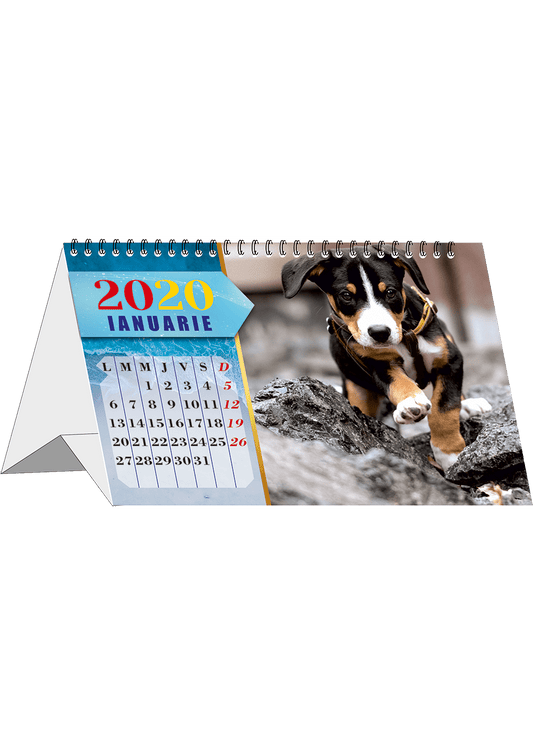 Calendar personalizat de birou 2024 CAL P49