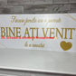 Pancarta Bine ati venit 04