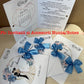 Invitatie nunta BSIN043 cu fundita