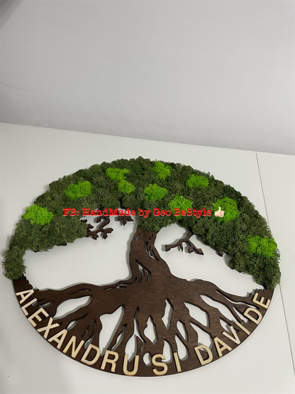Copacul vietii cu licheni de 40 cm - bonsai
