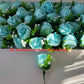 Floare de pus in piept nunta 02