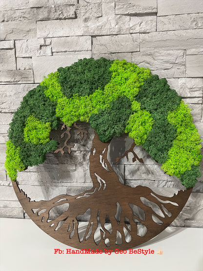 Copacul vietii cu licheni de 40 cm - bonsai